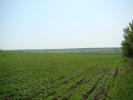 Photo of Agricultural land - Ruse District